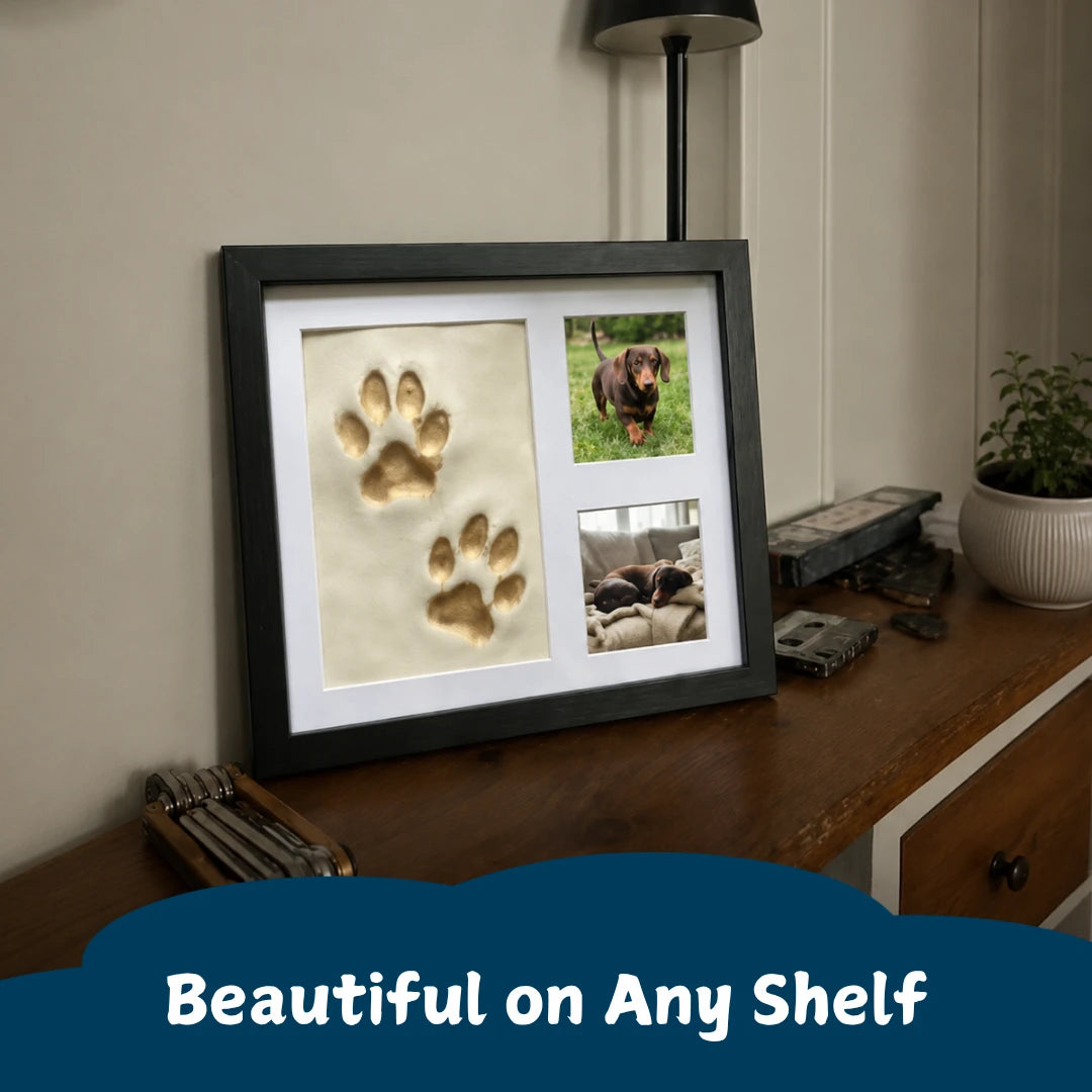 Pet Paw Print Clay Kit