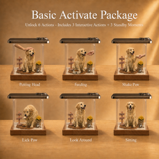 Pack d'interaction holographique pour animaux de compagnie