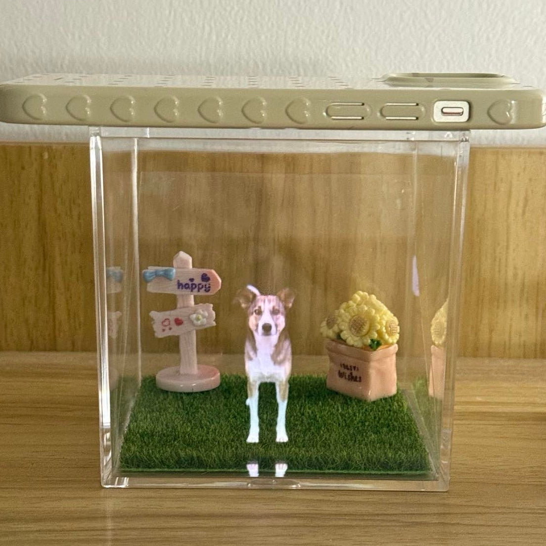 Avec l'hologramme 3D Dog Memorial, la queue de Lucy a recommencé à remuer !!