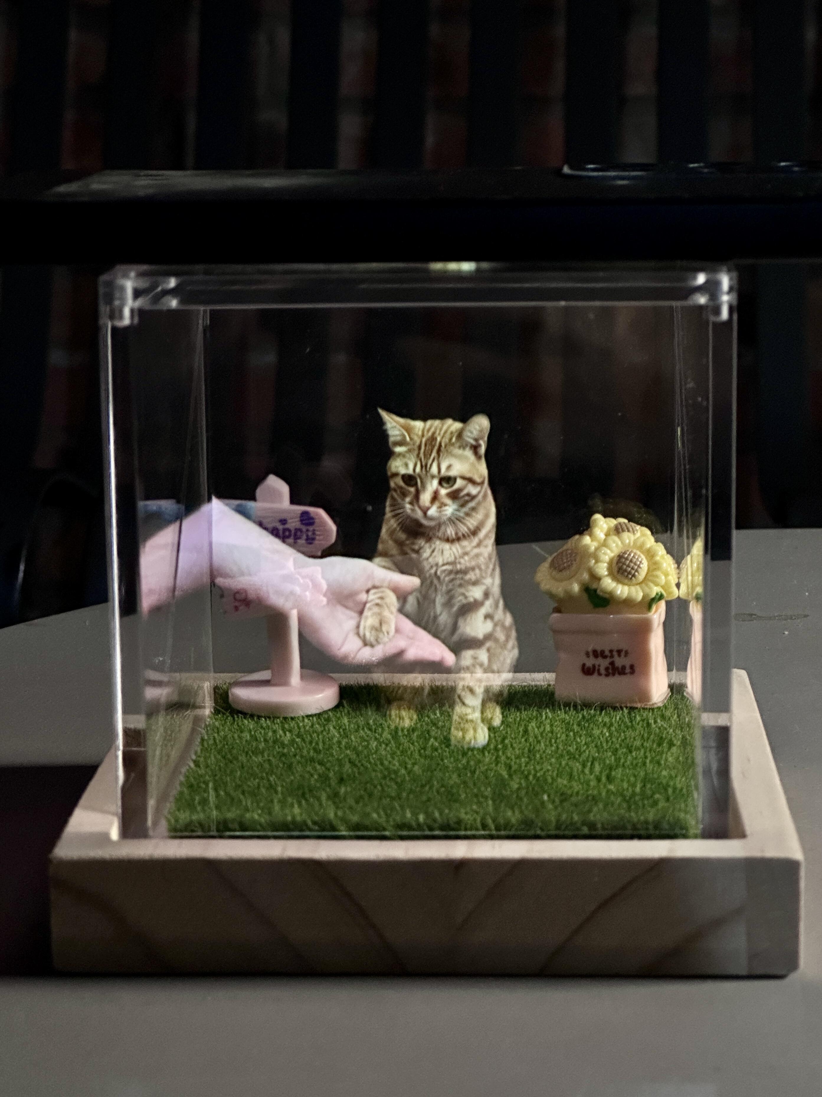 « Monsieur Beebs est à la maison » – Souvenir funéraire holographique 3D pour animaux de compagnie