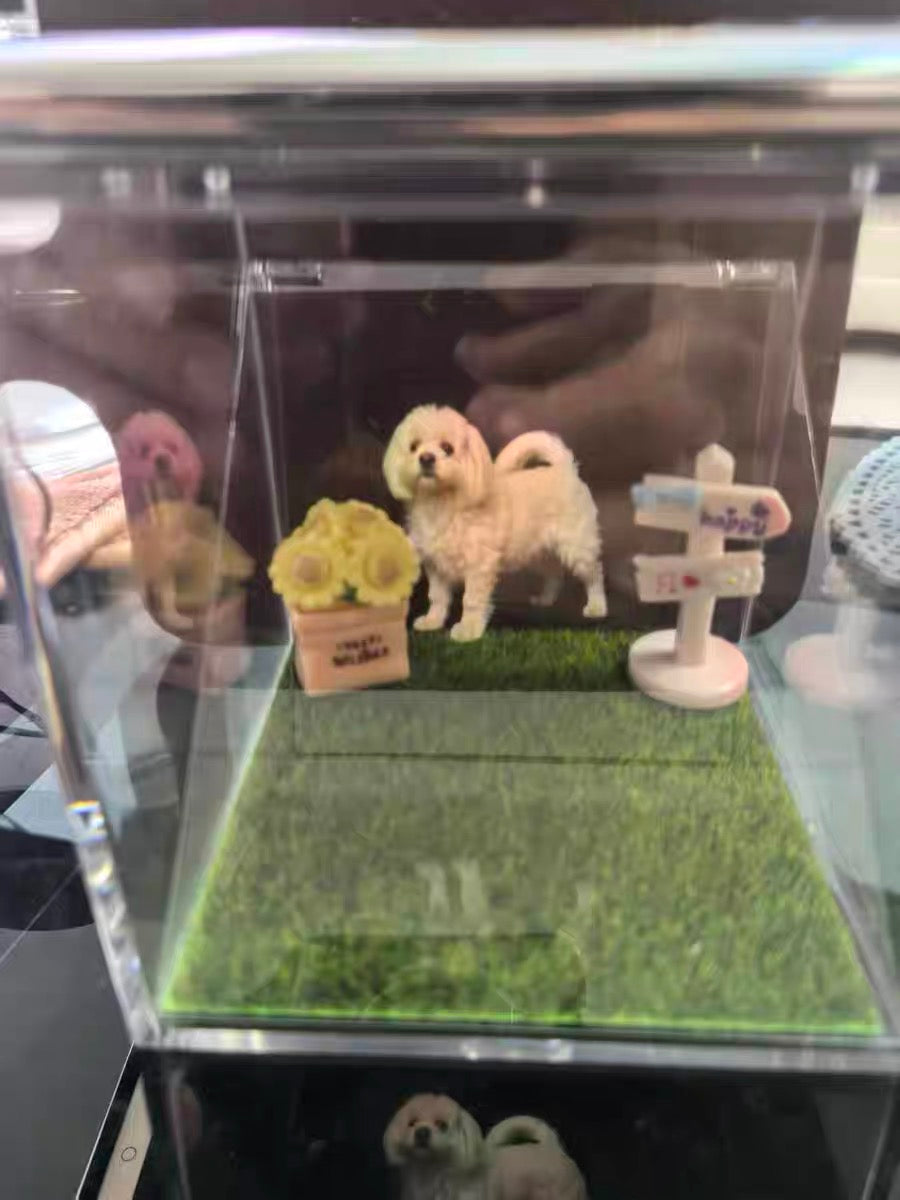 « Ramenons Happi à la maison » — Grâce à l'hologramme commémoratif 3D