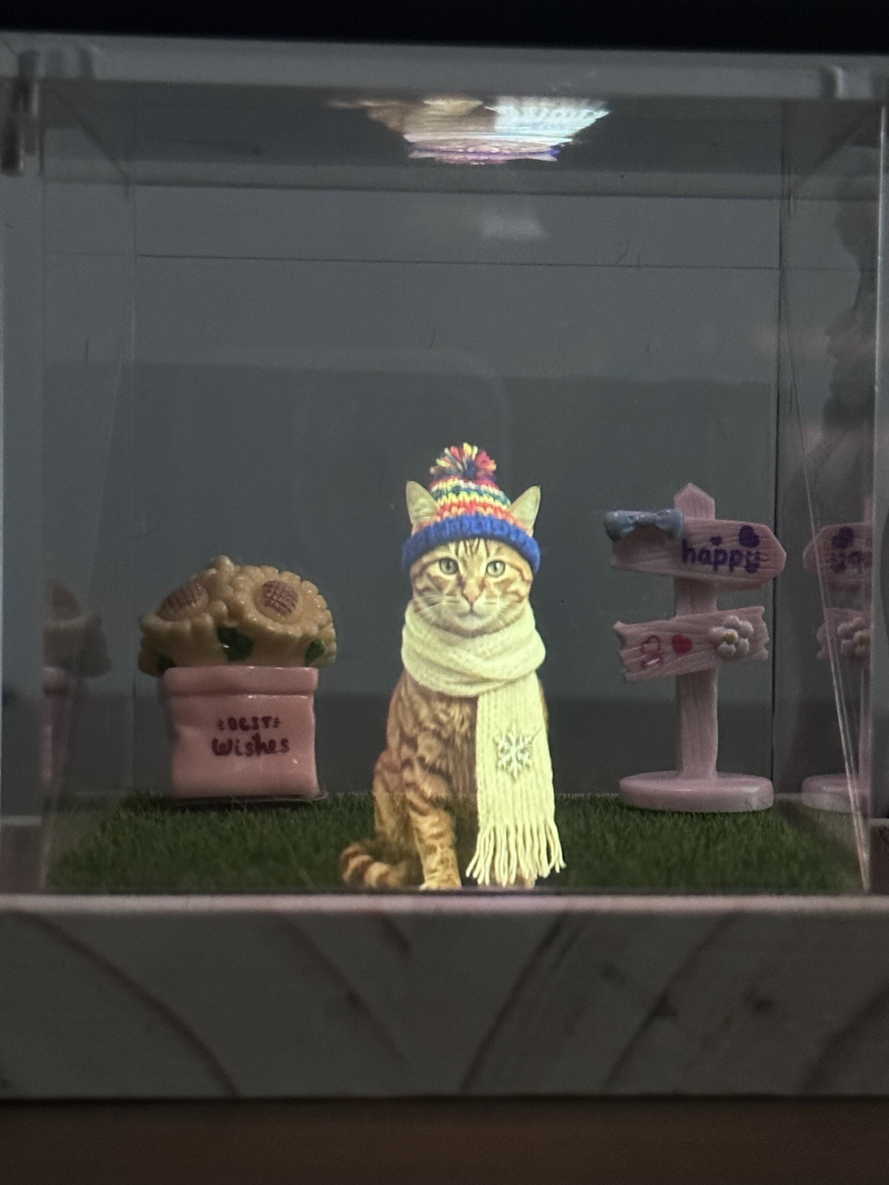 Jasper de retour dans son accoutrement d’hiver – Grâce au souvenir holographique de votre animal de compagnie