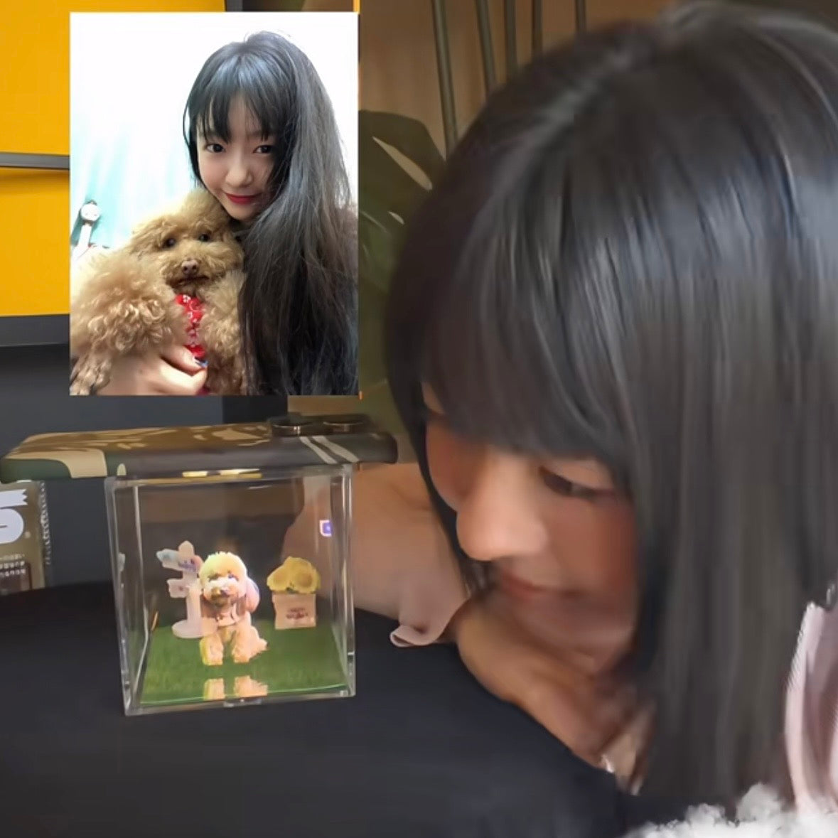 Accueillons à nouveau Pinka à la maison avec la boîte à hologrammes 3D pour animaux de compagnie !!