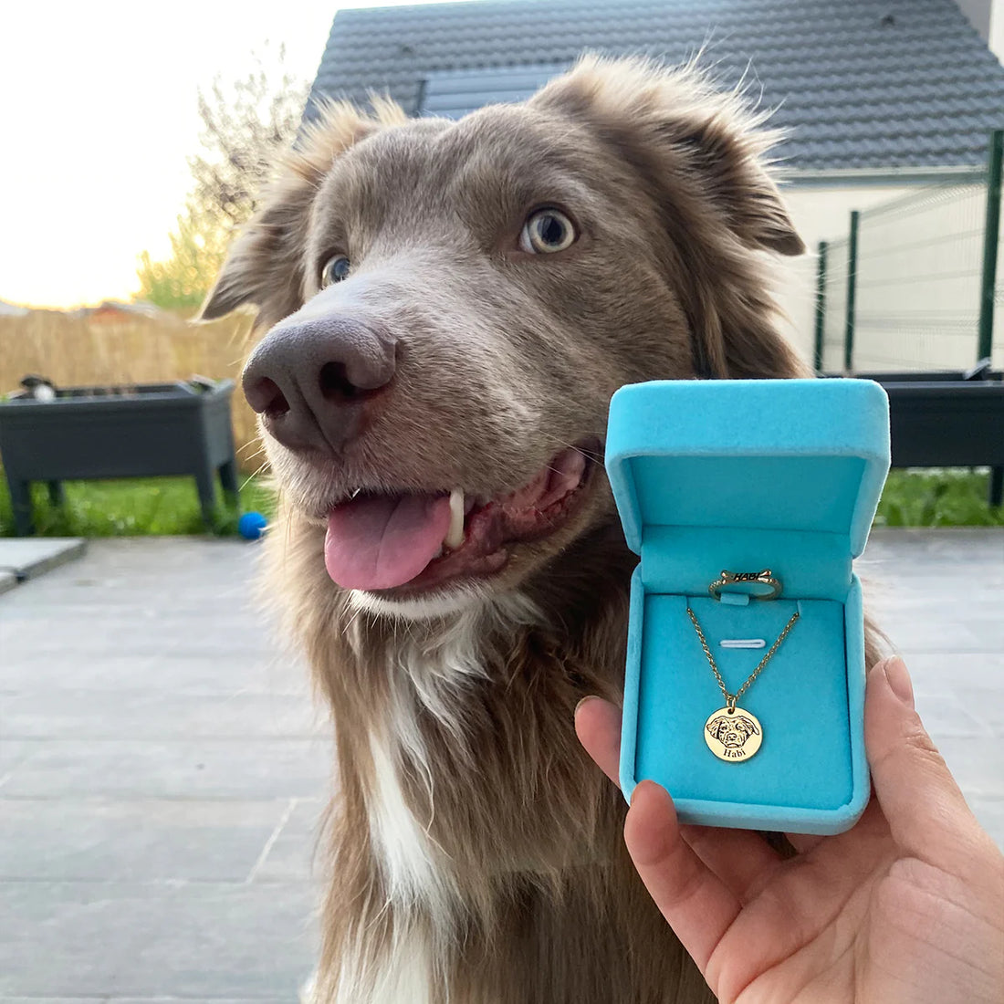 Collier personnalisé avec visage d'animal gravé