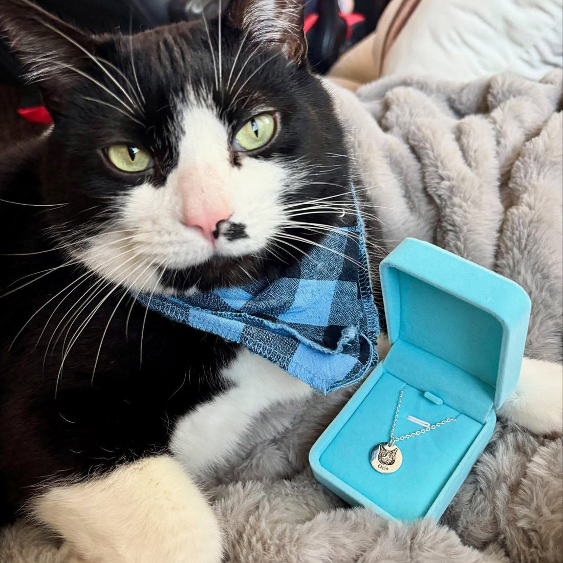 Collier personnalisé avec visage d'animal gravé