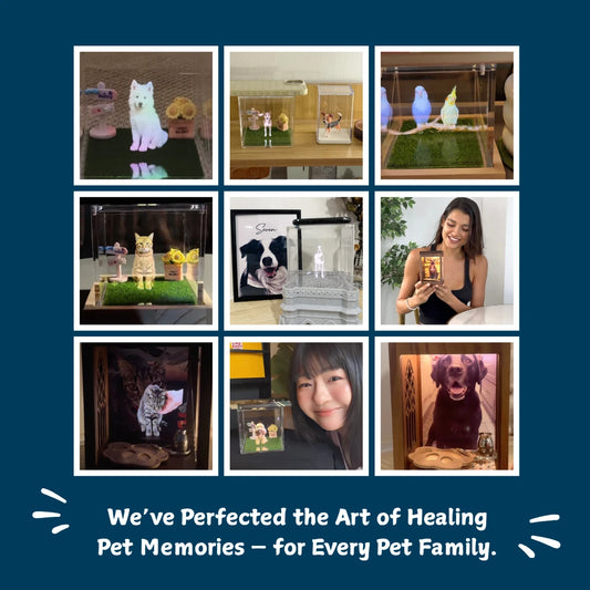 Pawever™ Caja Everwood — Caja de Recuerdos Holográfica para Mascotas