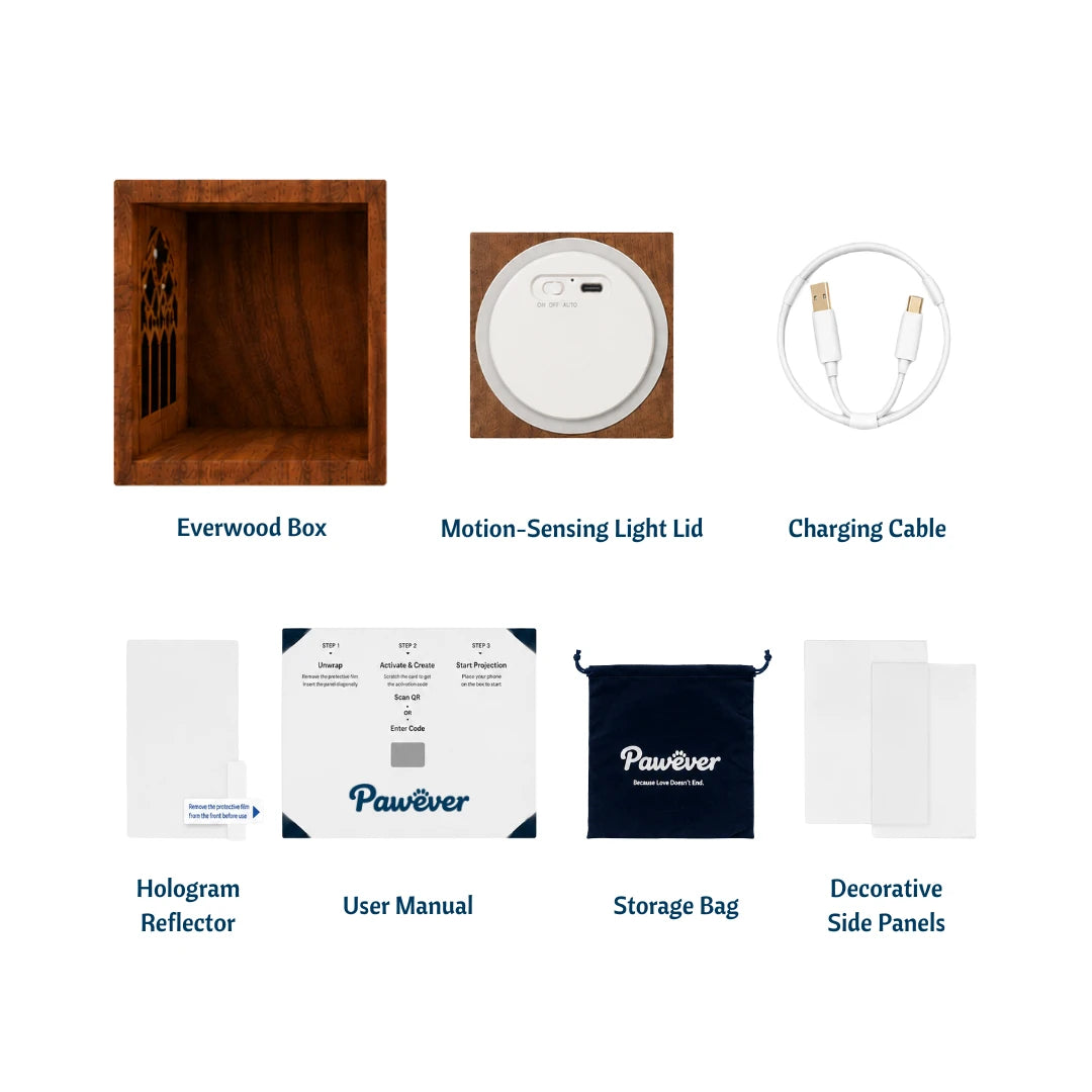 Boîte holographique Pawever™ Everwood