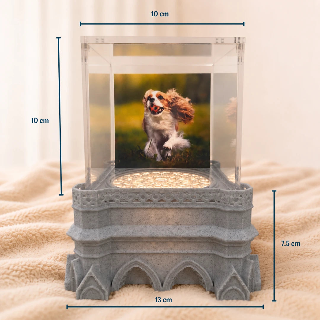 Boîte Sanctuaire Pawever™ — Boîte à hologramme pour animaux de compagnie
