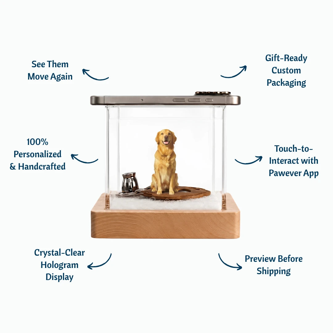 Pawever™ Crystal Box — Boîte Holographique pour Animaux
