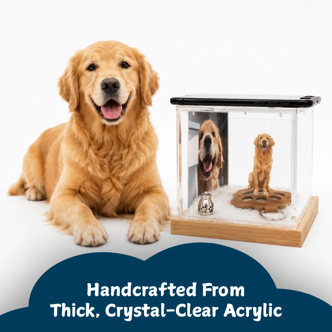 Pawever™ Crystal Box — Boîte Holographique pour Animaux
