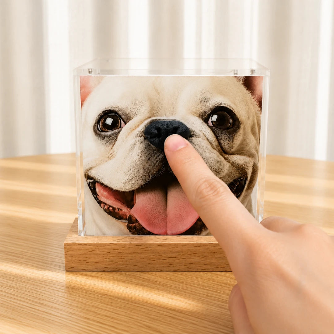 Pawever™ Crystal Box — Boîte Holographique pour Animaux