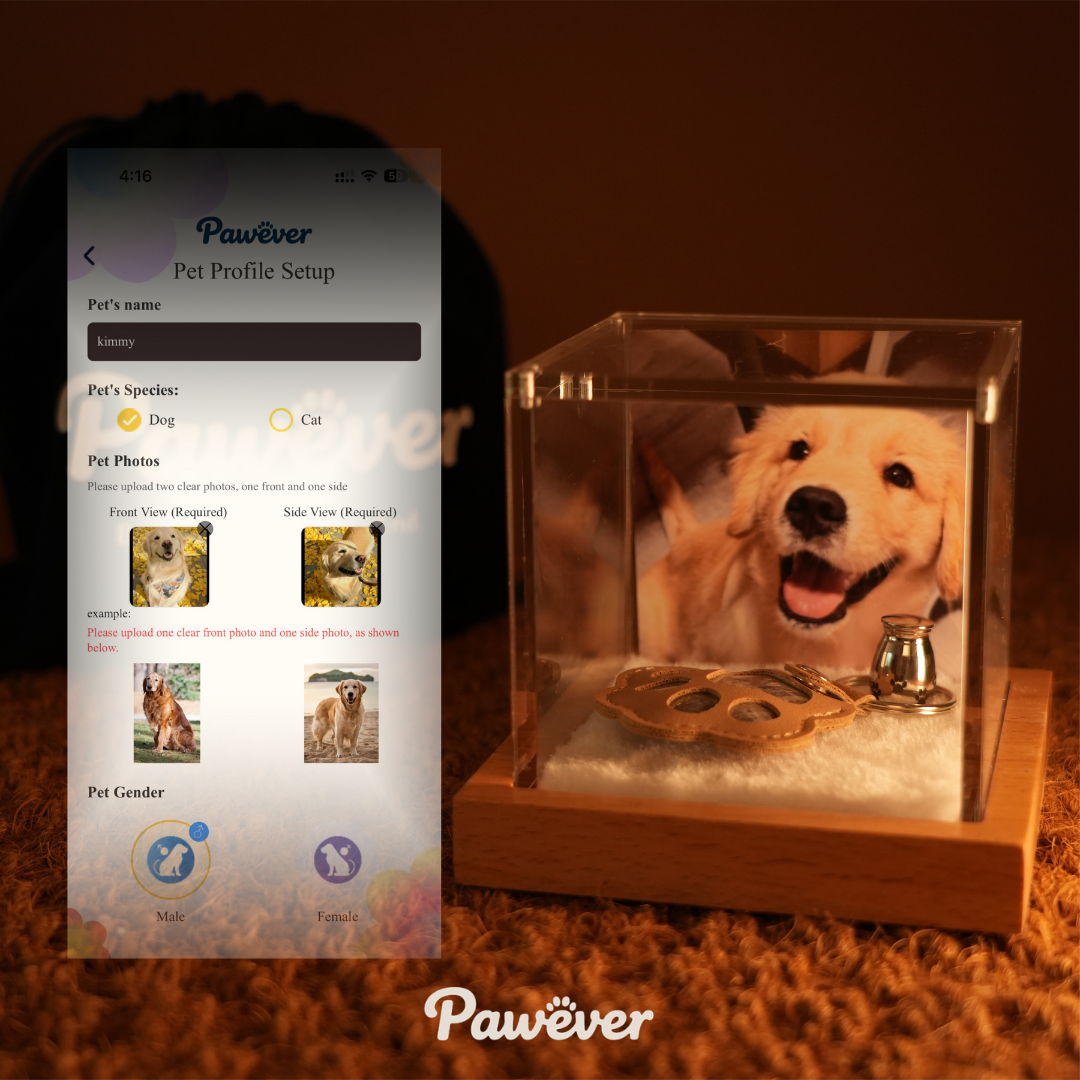 Customize in Seconds