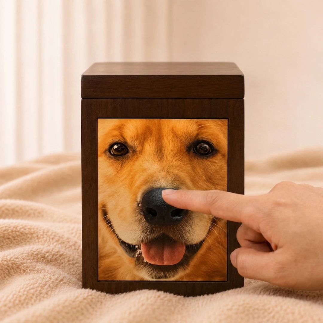 Boîte holographique Pawever™ Everwood