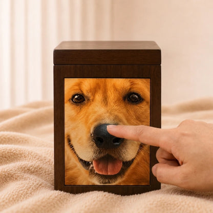 Boîte holographique Pawever™ Everwood