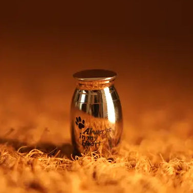 Bouteille souvenir pour animal de compagnie