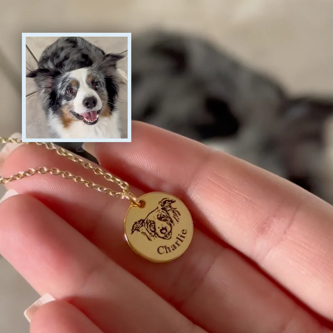 Collier personnalisé avec visage d'animal gravé