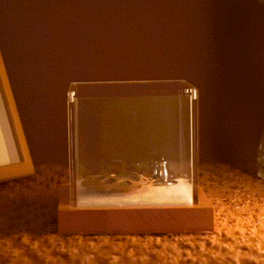 Pawever™ Crystal Box — Caja conmemorativa de holograma para mascotas