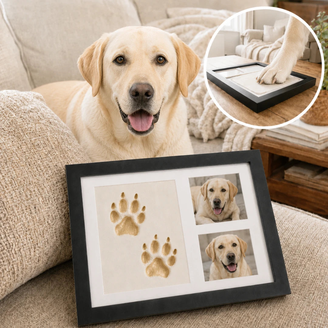 Pet Paw Print Clay Kit