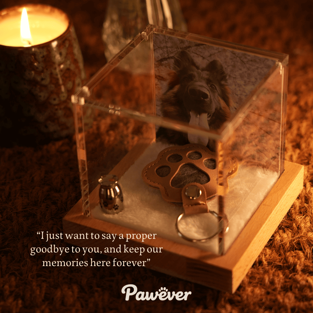 Pet Memorial Hologram Box