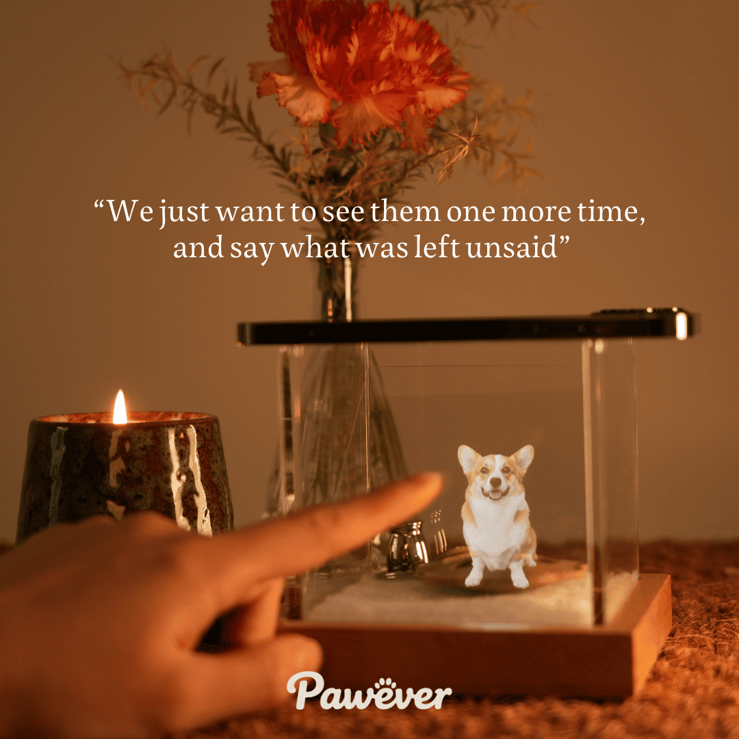 Pet Memorial Hologram Box