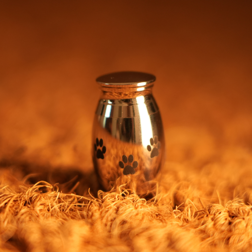 Bouteille souvenir pour animal de compagnie