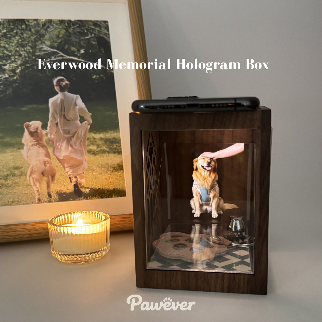 Everwood Memorial Hologram Box