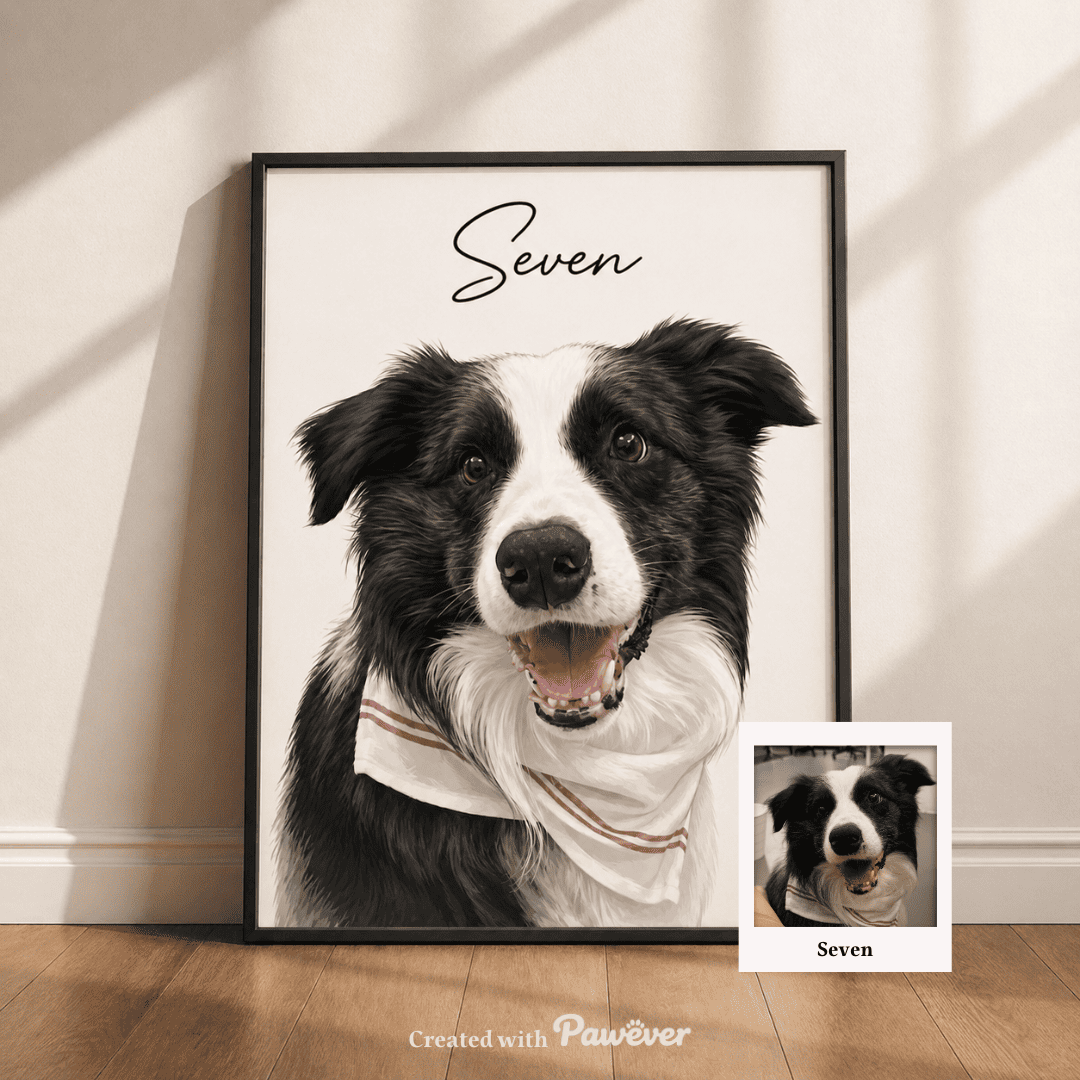Portrait d'animaux