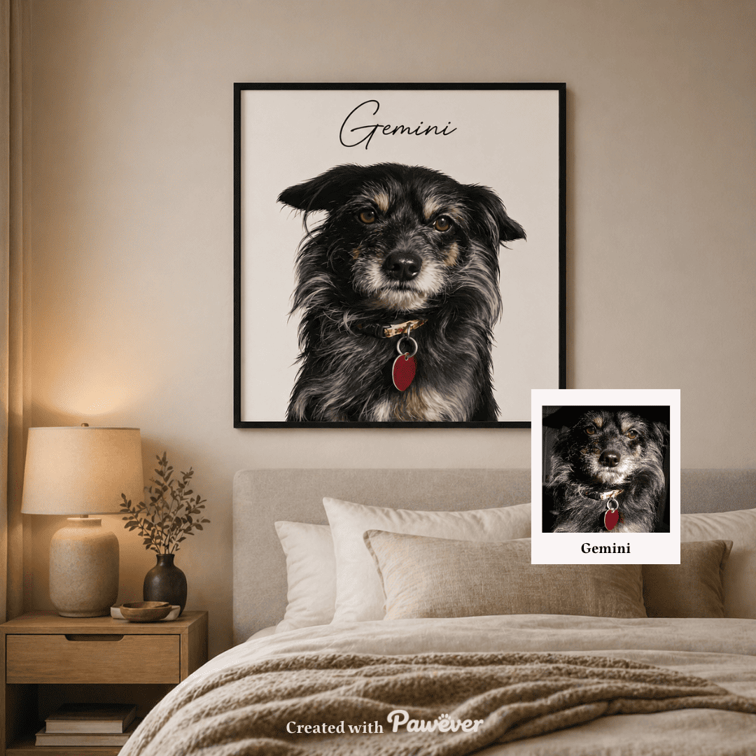 Portrait d'animaux