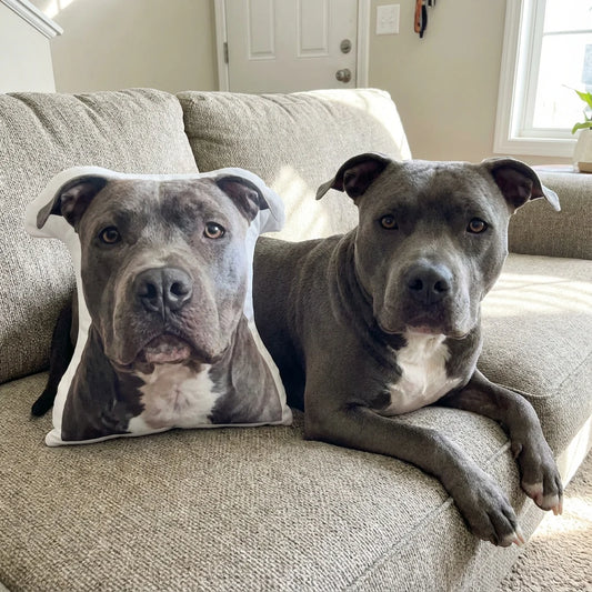 Custom Pet Pillow