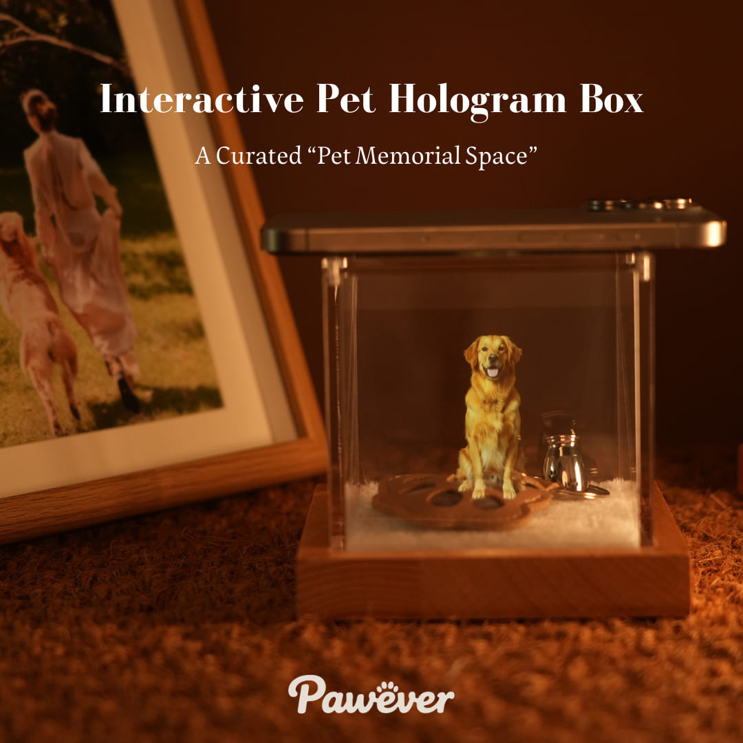 Pet Memorial Hologram Box