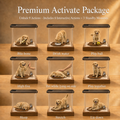 Pet Hologram Interaction Pack
