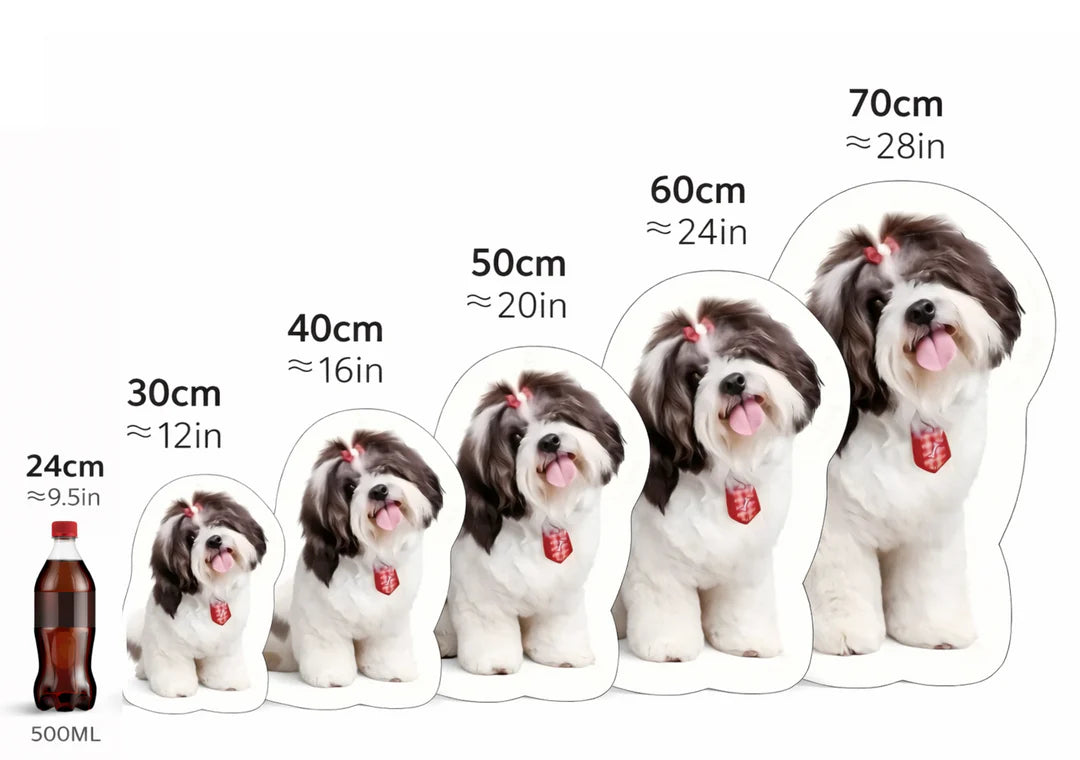 Coussin personnalisé pour animaux de compagnie