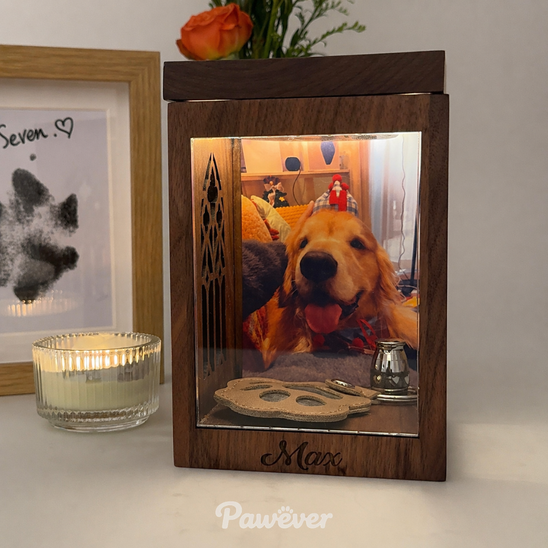 Pawever™ Everwood Memorial Hologram Box