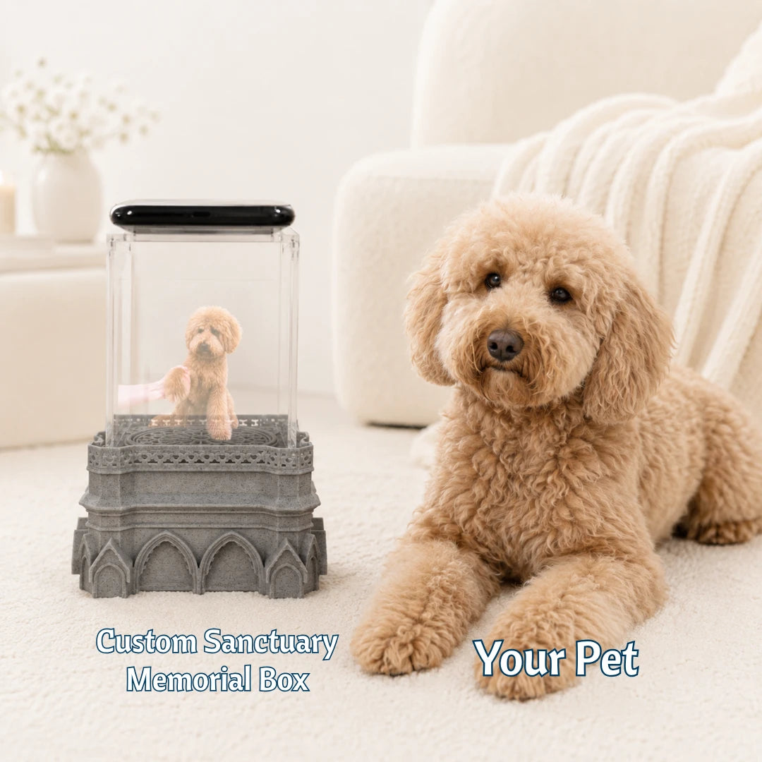 Boîte Sanctuaire Pawever™ — Boîte à hologramme pour animaux de compagnie